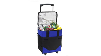 32 Can Collapsible Rolling Cooler